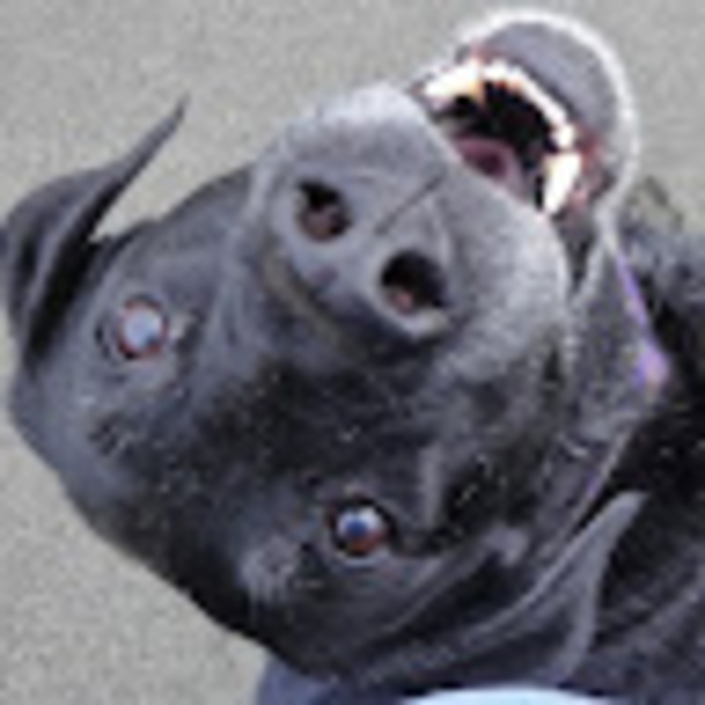 Meet your Posher, Kate